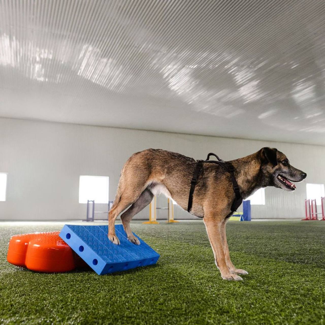 Fitkinect Upgrade Kit - Rectangles